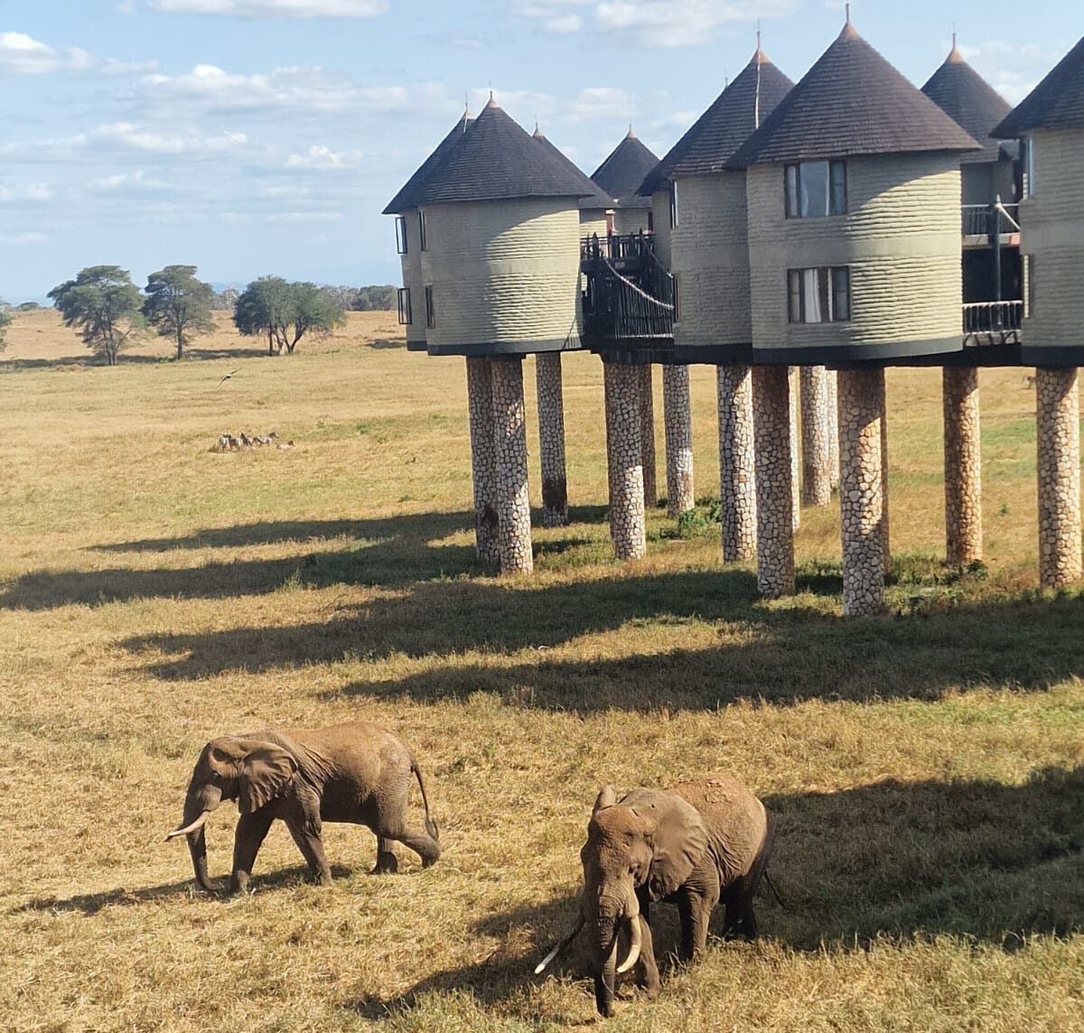 03 Days Tsavo Odyssey Safari