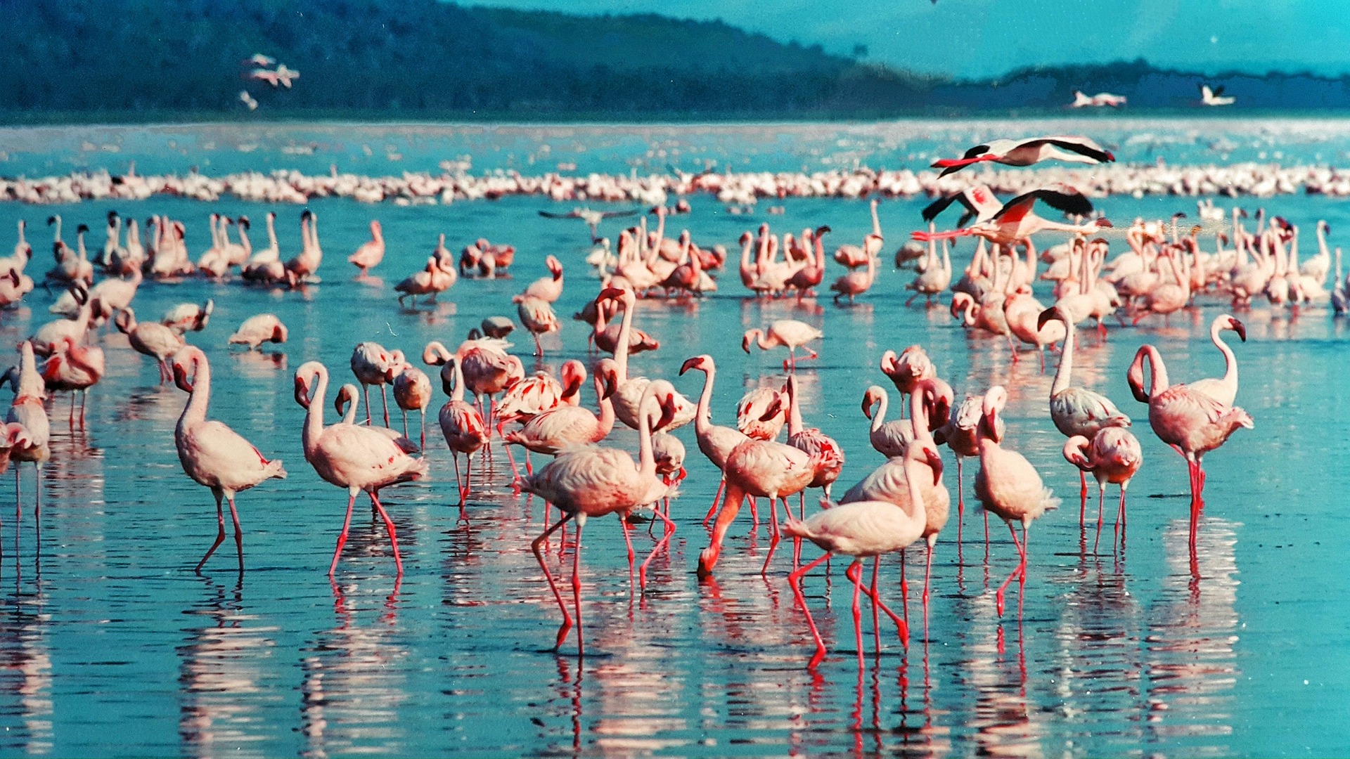 6 Days Kenya Scenic Expedition