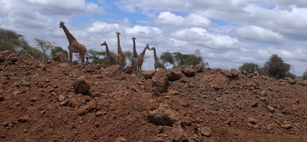 Maka Safaris Expedition