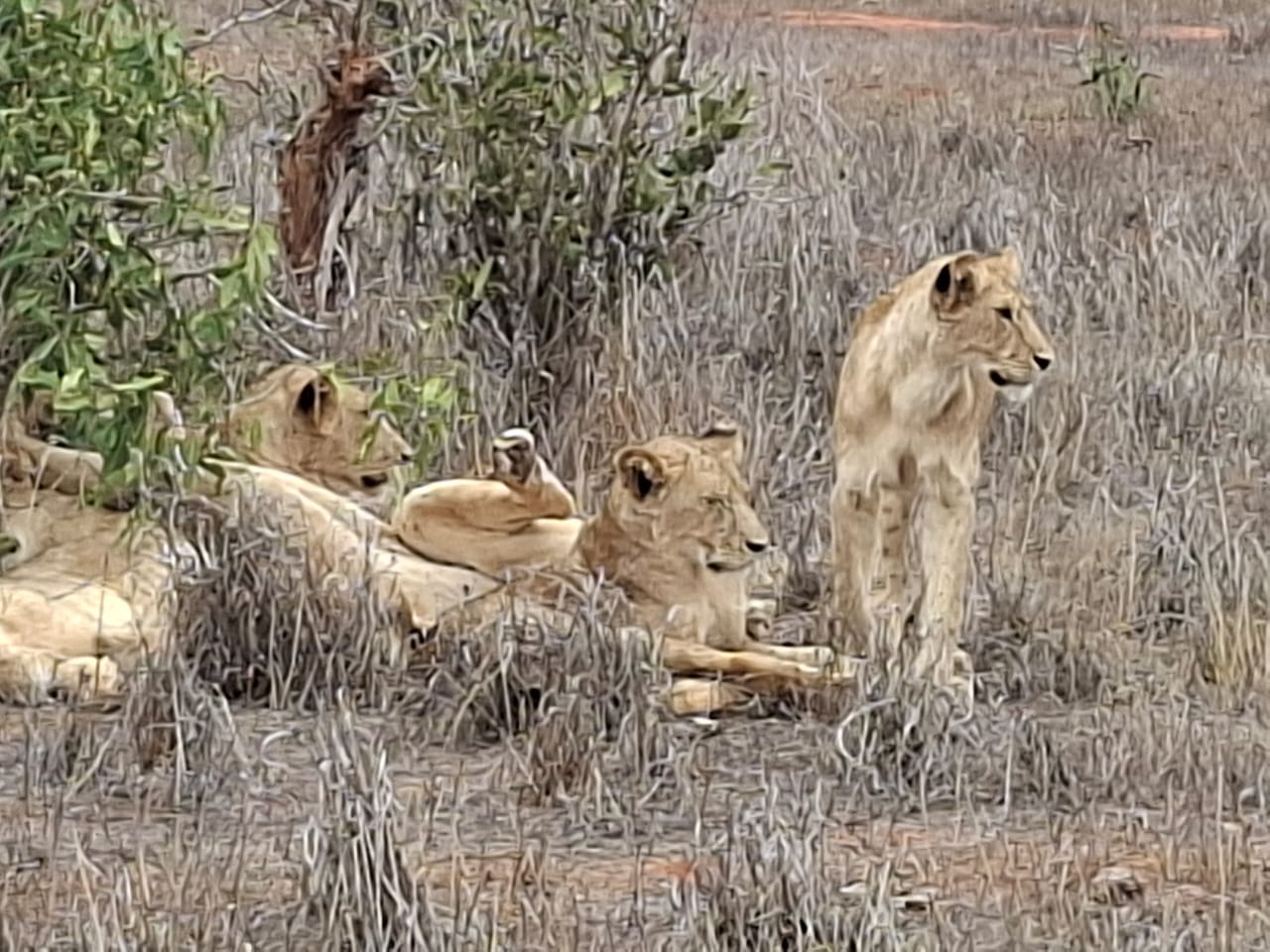 Maka Safaris Expedition