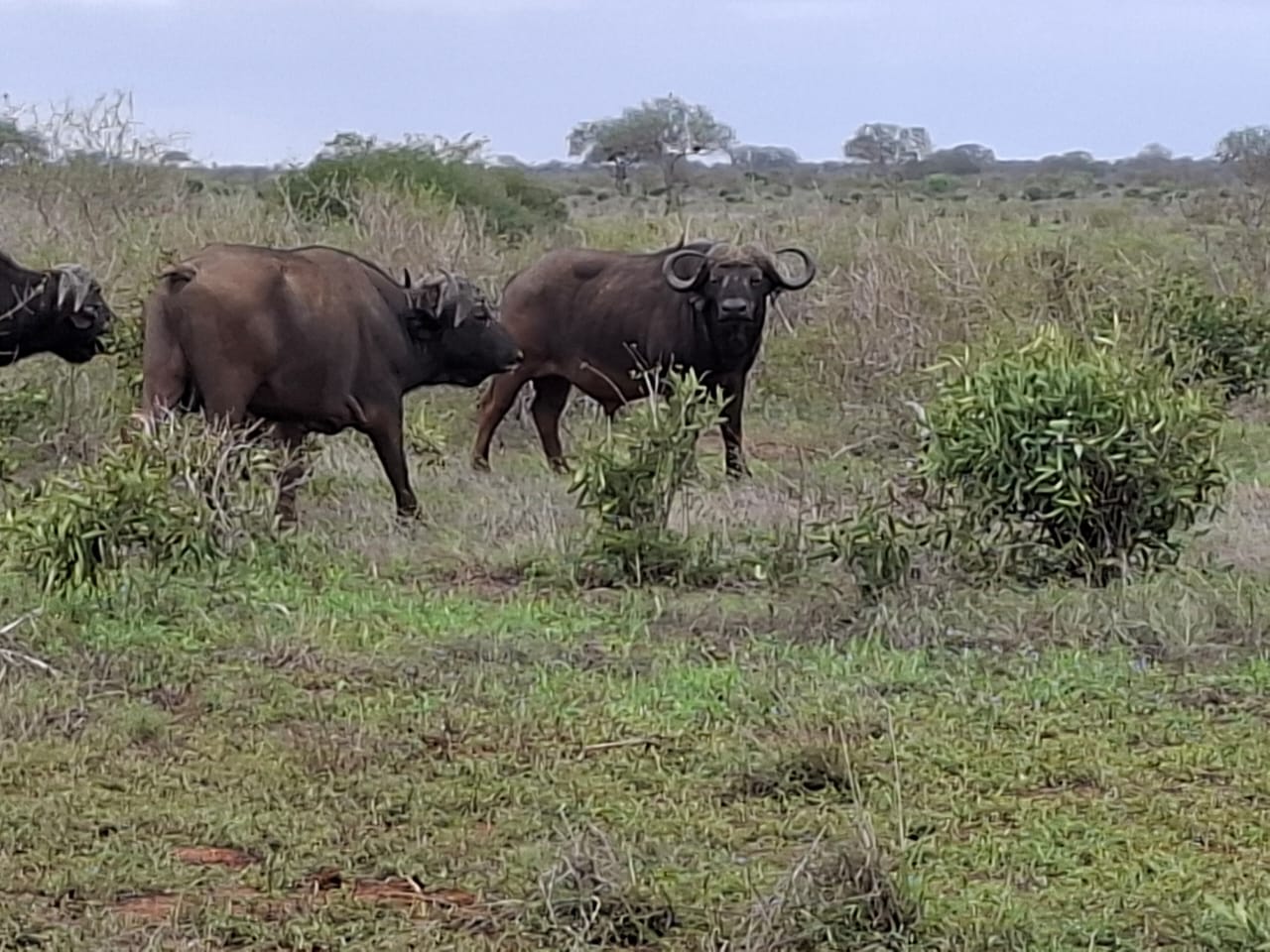 Maka Safaris Expedition